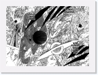 14-15 * 1440 x 1059 * (555KB)